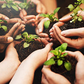 Cropped shot of a group of people holding plants growing out of soil