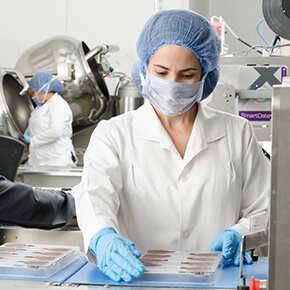 Lab techs working with samples in laboratory